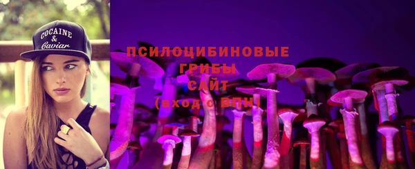 PSILOCYBIN Горнозаводск