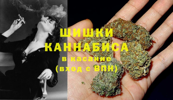 PSILOCYBIN Горнозаводск