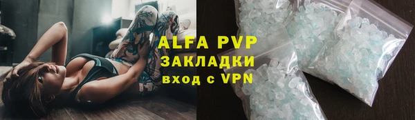 PSILOCYBIN Горнозаводск