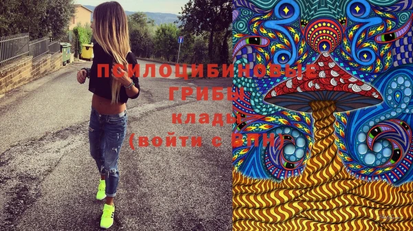 PSILOCYBIN Горнозаводск
