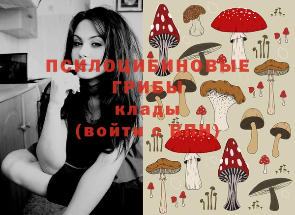 спиды Горно-Алтайск