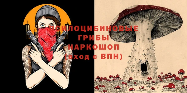 спиды Горно-Алтайск
