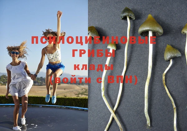 PSILOCYBIN Горнозаводск