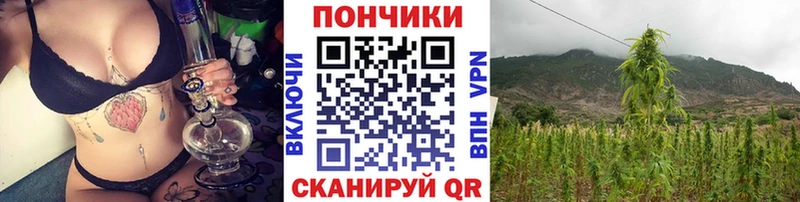 Шишки марихуана SATIVA & INDICA Ачинск